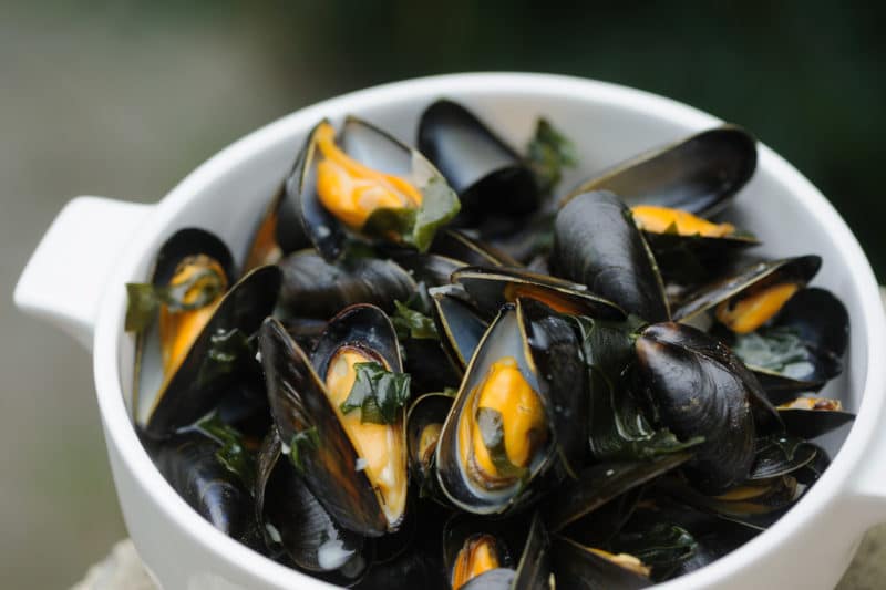 Comment nettoyer et préparer les moules avant cuisson Cuisine à l ouest