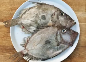 Magnifique poisson, le saint-pierre