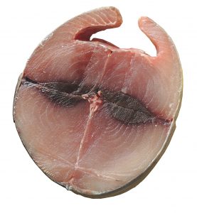 Poisson : le thon