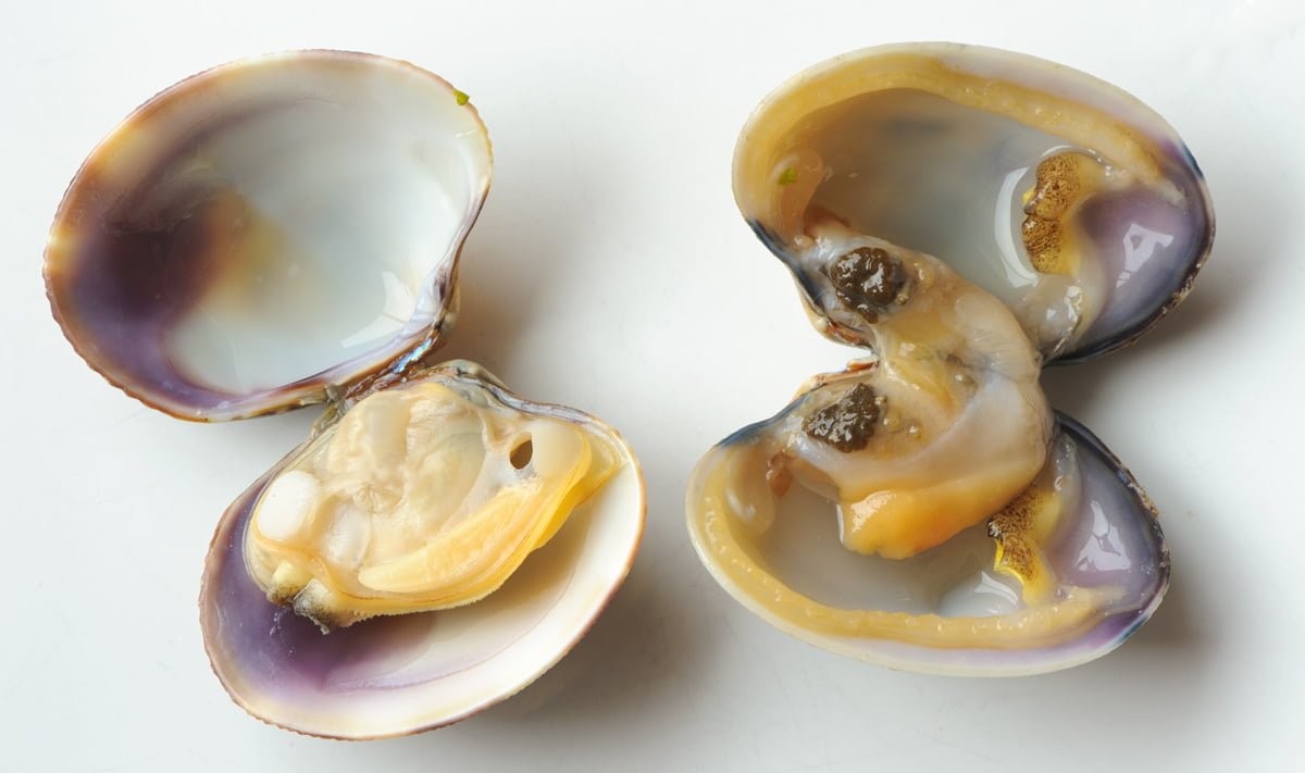 Palourdes farcies comment les réussir et comment ne pas les rater ) Cuisine à l