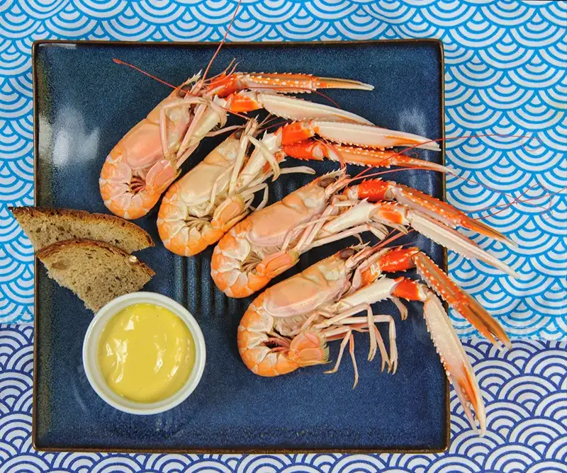 Une assiette de langoustines