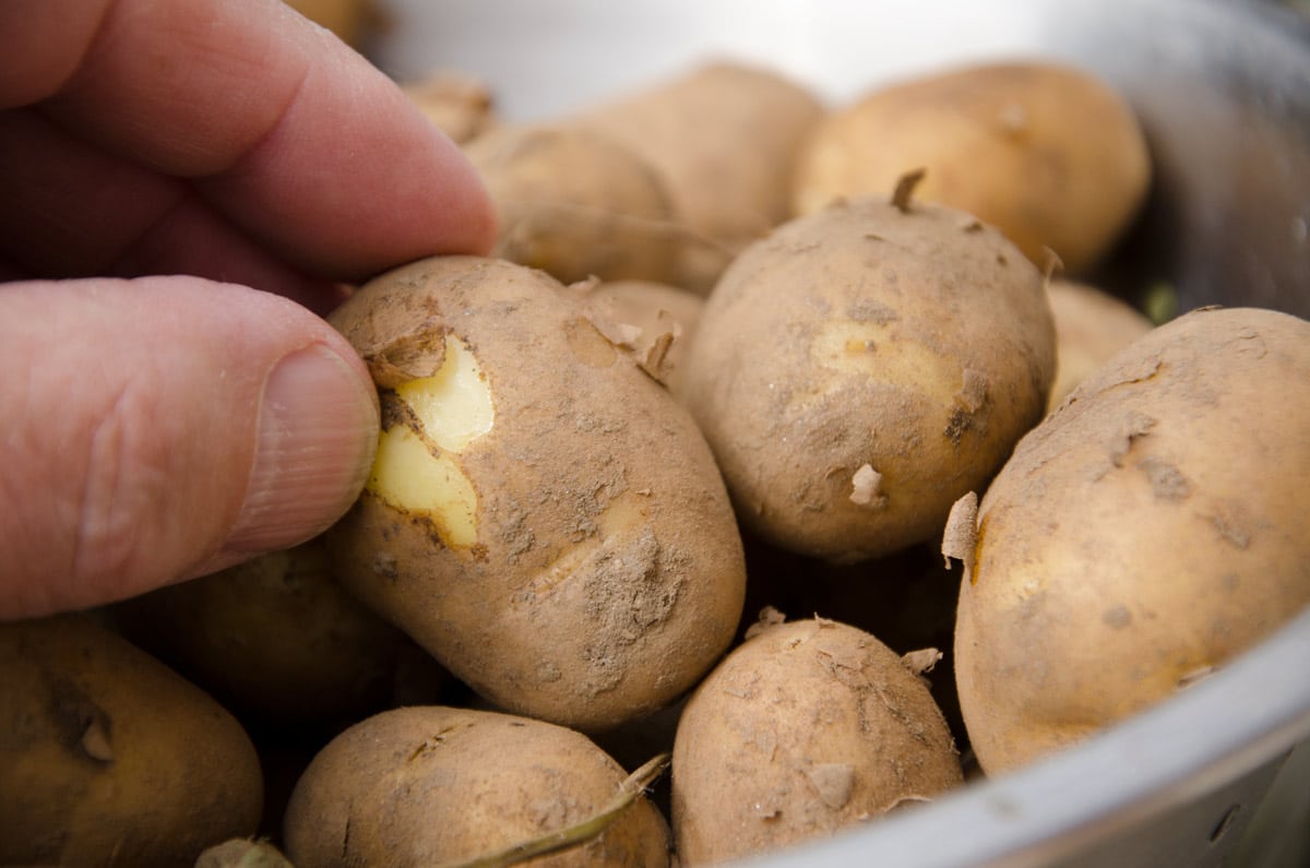 Pommes de terre grenailles sautées - Cuisine à l'ouest