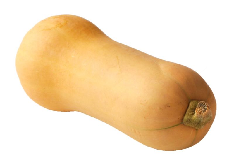 Courge butternut