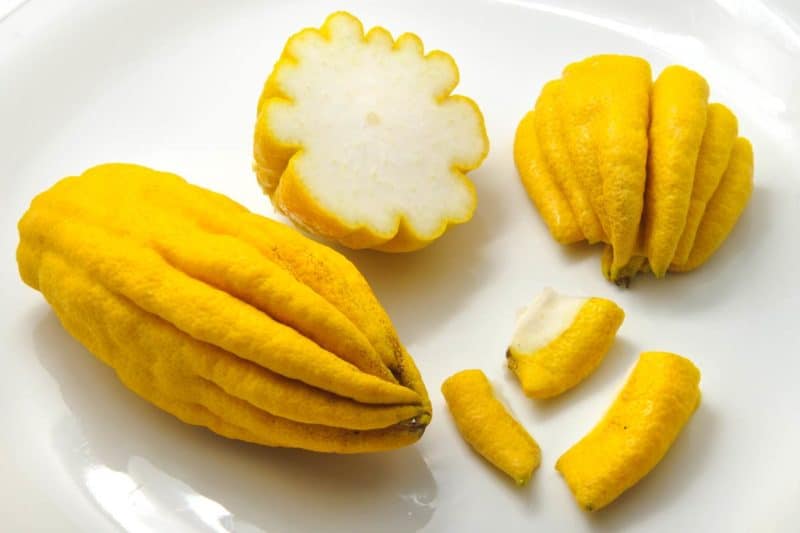 Comment utiliser le citron main de Bouddha ?