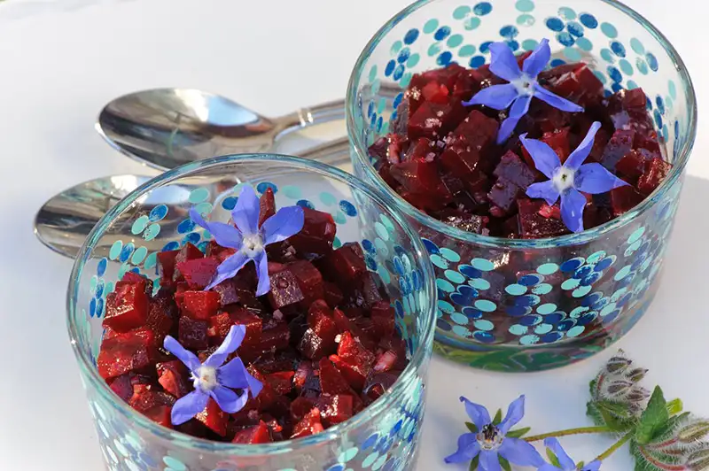 Recette de verrines de betterave aux fleurs de bourrache