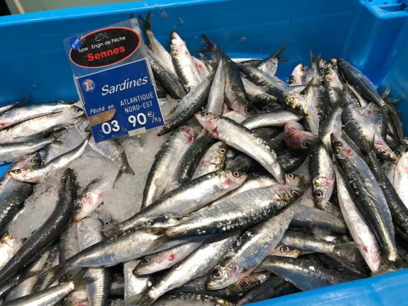 Le prix des sardines