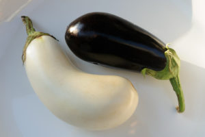 L'aubergine blanche et l'aubergine noire