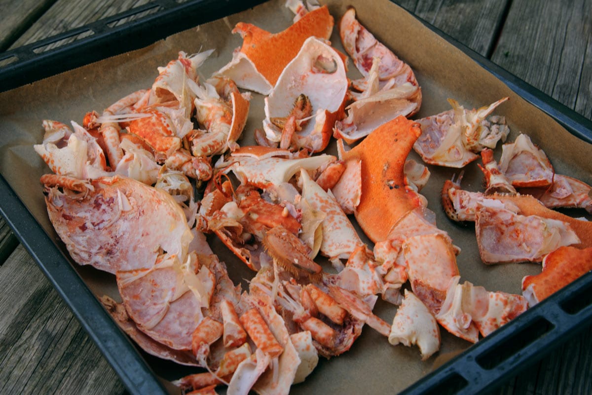 Bouillon de carcasse de homard Cuisine à l'ouest