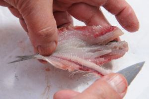 Faire les filets de sardine, étape 2