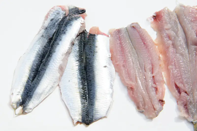 Les filets de sardine