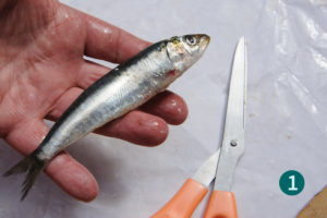 Vider les sardines, méthode rapide, étape 1