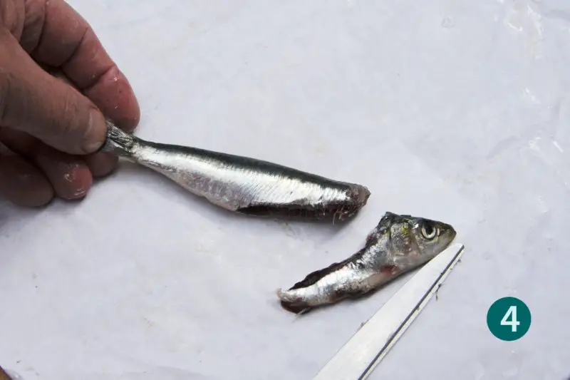 Vider les sardines, méthode rapide, étape 4