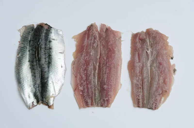 Les filets de sardine en portefeuille