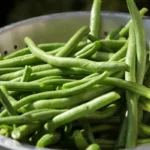 Comment cuire les gros haricots verts