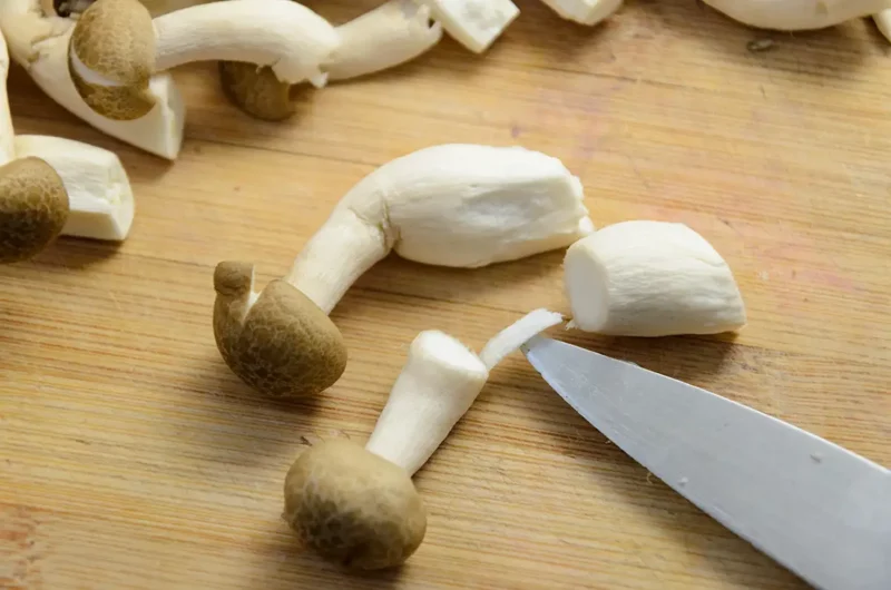 Préparez le champignon shimeji brun