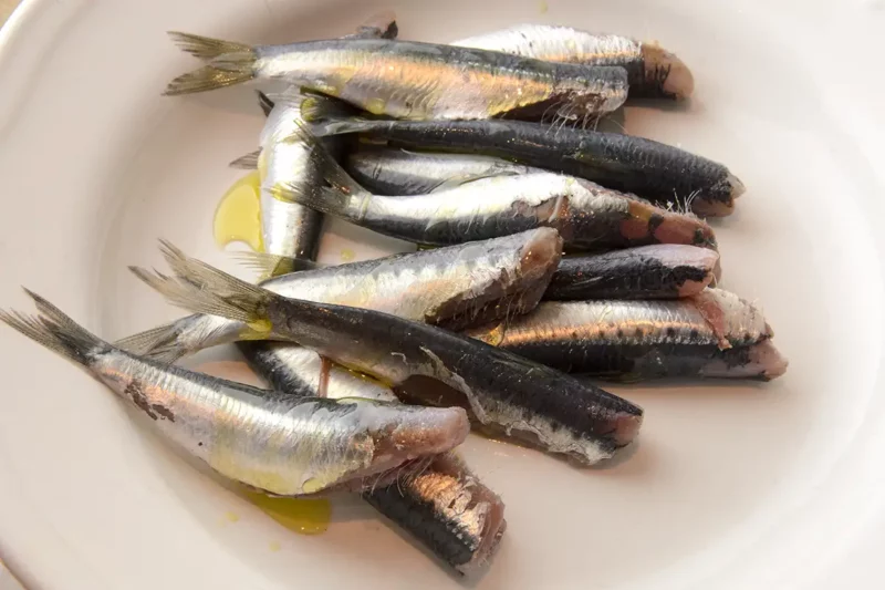 Enduire les sardines d'huile