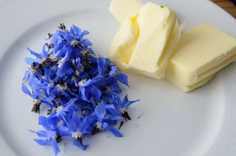 Beurre et fleurs de bourrache