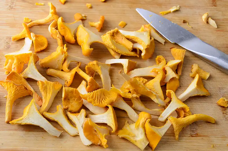 Couper les girolles