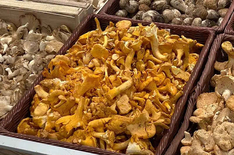 Étal de girolles dans un magasin