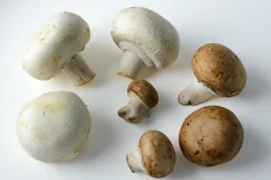 Champignons de Paris blancs et bruns