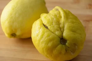 Les citrons volés dans le jardin