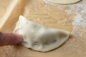 Fermer le gyoza